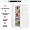 Холодильник Liebherr Re 1400 купить за 45&nbsp;000.19 ₽ в Москве с доставкой по РФ