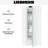 Морозильник Liebherr FNe 4605 купить за 110&nbsp;000.20 ₽ в Москве с доставкой по РФ