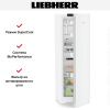 Холодильник Liebherr Rd 5220 купить за 119&nbsp;000.40 ₽ в Москве с доставкой по РФ