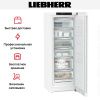 Морозильник Liebherr FNe 5026 купить за 122&nbsp;050.28 ₽ в Москве с доставкой по РФ