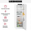 Холодильник Liebherr SRe 5220 Plus купить за 106&nbsp;100.33 ₽ в Москве с доставкой по РФ