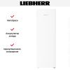 Морозильник Liebherr FNe 5207 купить за 132&nbsp;000.35 ₽ в Москве с доставкой по РФ