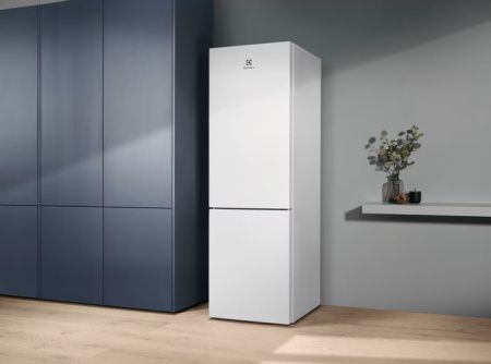 Холодильник Electrolux LNT5ME32W1 - купить онлайн, цена 79 060 ₽, стоимость доставки по МСК и РФ от 300 рублей, заказать сейчас! Холодильник Electrolux LNT5ME32W1 купить за 79 060 ₽ в Москве с доставкой по РФ