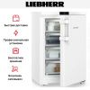 Морозильник Liebherr FNe 1404 - купить онлайн, цена 50 000.35 ₽, стоимость доставки по МСК и РФ от 300 рублей, заказать сейчас! Морозильник Liebherr FNe 1404 купить за 50 000.35 ₽ в Москве с доставкой по РФ