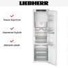 Встраиваемый холодильник Liebherr IRBd 5151 Prime купить за 245&nbsp;440.14 ₽ в Москве с доставкой по РФ
