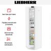 Холодильник Liebherr Rd 5220 купить за 119&nbsp;000.40 ₽ в Москве с доставкой по РФ