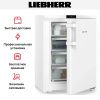 Морозильник Liebherr FNdi 1624 купить за 66&nbsp;000.26 ₽ в Москве с доставкой по РФ
