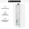 Холодильник Liebherr Rd 4600 Pure купить за 88&nbsp;000.16 ₽ в Москве с доставкой по РФ