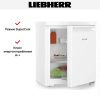 Холодильник Liebherr Re 1000 - купить онлайн, цена 42 000.19 ₽, стоимость доставки по МСК и РФ от 300 рублей, заказать сейчас! Холодильник Liebherr Re 1000 купить за 42 000.19 ₽ в Москве с доставкой по РФ
