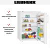Холодильник Liebherr T 1710 Comfort купить за 42&nbsp;600.30 ₽ в Москве с доставкой по РФ