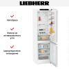 Холодильник Liebherr CNf 5703 - купить онлайн, цена 88 000.17 ₽, стоимость доставки по МСК и РФ от 300 рублей, заказать сейчас! Холодильник Liebherr CNf 5703 купить за 88 000.17 ₽ в Москве с доставкой по РФ