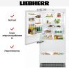 Встраиваемый холодильник Liebherr ECBN 6156 Premium Plus NoFrost купить за 824&nbsp;000.10 ₽ в Москве с доставкой по РФ