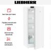 Холодильник Liebherr Rd 4600 Pure купить за 88&nbsp;000.16 ₽ в Москве с доставкой по РФ