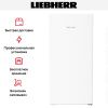 Морозильник Liebherr FNe 4204 купить за 99&nbsp;000.40 ₽ в Москве с доставкой по РФ