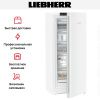 Морозильник Liebherr FNe 4605 купить за 110&nbsp;000.20 ₽ в Москве с доставкой по РФ