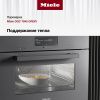 Комби-пароварка Miele DGC 7845 GRGR купить за 598&nbsp;000 ₽ в Москве с доставкой по РФ