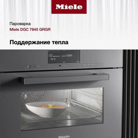 Комби-пароварка Miele DGC 7845 GRGR купить за 598&nbsp;000 ₽ в Москве с доставкой по РФ