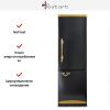 Холодильник Restart FRR 021 plus купить за 499&nbsp;999 ₽ в Москве с доставкой по РФ