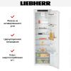 Встраиваемый холодильник Liebherr IRe 5100 Pure - купить онлайн, цена 135 000.20 ₽, стоимость доставки по МСК и РФ от 300 рублей, заказать сейчас! Встраиваемый холодильник Liebherr IRe 5100 Pure купить за 135 000.20 ₽ в Москве с доставкой по РФ
