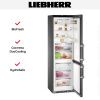 Холодильник Liebherr CBNbs 4878 купить за 427&nbsp;790.60 ₽ в Москве с доставкой по РФ