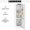 Холодильник Liebherr CNd 5733 купить за 119&nbsp;990.26 ₽ в Москве с доставкой по РФ