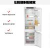 Встраиваемый холодильник Liebherr ICe 5103 Pure - купить онлайн, цена 110 000.14 ₽, стоимость доставки по МСК и РФ от 300 рублей, заказать сейчас! Встраиваемый холодильник Liebherr ICe 5103 Pure купить за 110 000.14 ₽ в Москве с доставкой по РФ