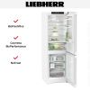Холодильник Liebherr CBNd 5223 Plus BioFresh NoFrost купить за 120&nbsp;240.35 ₽ в Москве с доставкой по РФ