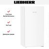 Морозильная камера Liebherr FNe 4224 Plus NoFrost купить за 151&nbsp;490.46 ₽ в Москве с доставкой по РФ
