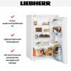 Холодильник Liebherr T 1400 - купить онлайн, цена 39 000.15 ₽, стоимость доставки по МСК и РФ от 300 рублей, заказать сейчас! Холодильник Liebherr T 1400 купить за 39 000.15 ₽ в Москве с доставкой по РФ