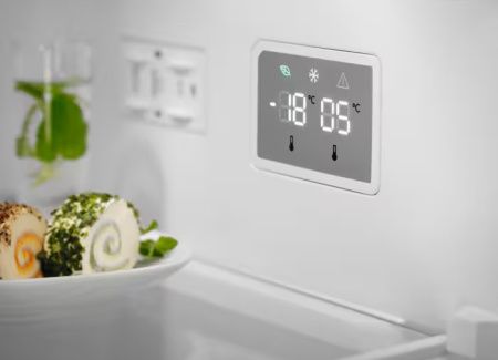 Холодильник Electrolux LNT5ME32U1 - купить онлайн, цена 92 000 ₽, стоимость доставки по МСК и РФ от 300 рублей, заказать сейчас! Холодильник Electrolux LNT5ME32U1 купить за 92 000 ₽ в Москве с доставкой по РФ