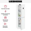 Холодильник Liebherr CNd 5734 - купить онлайн, цена 107 500.15 ₽, стоимость доставки по МСК и РФ от 300 рублей, заказать сейчас! Холодильник Liebherr CNd 5734 купить за 107 500.15 ₽ в Москве с доставкой по РФ