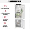 Холодильник Liebherr ICBNSe 5123 Plus купить за 148&nbsp;540.20 ₽ в Москве с доставкой по РФ
