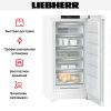 Морозильник Liebherr FNd 6625 купить за 176&nbsp;000.70 ₽ в Москве с доставкой по РФ