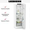 Холодильник Liebherr RBc 5220 Plus - купить онлайн, цена 127 000.20 ₽, стоимость доставки по МСК и РФ от 300 рублей, заказать сейчас! Холодильник Liebherr RBc 5220 Plus купить за 127 000.20 ₽ в Москве с доставкой по РФ