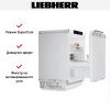 Встраиваемый холодильник Liebherr URPc 375i Prime купить за 234&nbsp;500.39 ₽ в Москве с доставкой по РФ