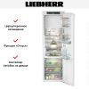 Встраиваемый холодильник Liebherr IRBdi 5151 - купить онлайн, цена 219 990.39 ₽, стоимость доставки по МСК и РФ от 300 рублей, заказать сейчас! Встраиваемый холодильник Liebherr IRBdi 5151 купить за 219 990.39 ₽ в Москве с доставкой по РФ