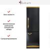 Холодильник Restart FRR 021 plus купить за 499&nbsp;999 ₽ в Москве с доставкой по РФ