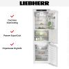 Встраиваемый холодильник Liebherr ICBNd 5153 купить за 542&nbsp;390.20 ₽ в Москве с доставкой по РФ