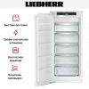 Встраиваемая морозильная камера Liebherr SIFNdi 4155 - купить онлайн, цена 215 000.30 ₽, стоимость доставки по МСК и РФ от 300 рублей, заказать сейчас! Встраиваемая морозильная камера Liebherr SIFNdi 4155 купить за 215 000.30 ₽ в Москве с доставкой по РФ