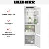 Встраиваемый холодильник Liebherr ICBSd 5122 Plus - купить онлайн, цена 165 000.20 ₽, стоимость доставки по МСК и РФ от 300 рублей, заказать сейчас! Встраиваемый холодильник Liebherr ICBSd 5122 Plus купить за 165 000.20 ₽ в Москве с доставкой по РФ