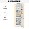 Холодильник Liebherr CNbef 5723 купить за 84&nbsp;030.44 ₽ в Москве с доставкой по РФ