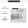 Встраиваемый холодильник Liebherr URd 365i Prime - купить онлайн, цена 140 000.39 ₽, стоимость доставки по МСК и РФ от 300 рублей, заказать сейчас! Встраиваемый холодильник Liebherr URd 365i Prime купить за 140 000.39 ₽ в Москве с доставкой по РФ
