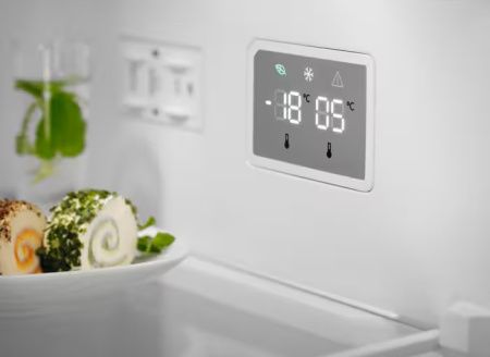 Холодильник Electrolux LNT5ME32W1 - купить онлайн, цена 79 060 ₽, стоимость доставки по МСК и РФ от 300 рублей, заказать сейчас! Холодильник Electrolux LNT5ME32W1 купить за 79 060 ₽ в Москве с доставкой по РФ