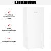 Холодильник Liebherr Rf 4600 Pure купить за 85&nbsp;000.42 ₽ в Москве с доставкой по РФ