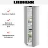 Холодильник Liebherr RBsfc 5220 купить за 135&nbsp;000.22 ₽ в Москве с доставкой по РФ