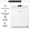 Морозильник Liebherr Fe 1003 купить за 44&nbsp;000.25 ₽ в Москве с доставкой по РФ