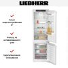 Встраиваемый холодильник Liebherr ICe 5103 Pure - купить онлайн, цена 110 000.14 ₽, стоимость доставки по МСК и РФ от 300 рублей, заказать сейчас! Встраиваемый холодильник Liebherr ICe 5103 Pure купить за 110 000.14 ₽ в Москве с доставкой по РФ