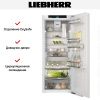 Встраиваемый холодильник Liebherr IRBci 4550 купить за 220&nbsp;000.33 ₽ в Москве с доставкой по РФ