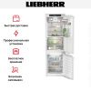 Встраиваемый холодильник Liebherr ICBNd 5163 купить за 293&nbsp;000.20 ₽ в Москве с доставкой по РФ