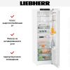 Холодильник Liebherr Re 5220 купить за 125&nbsp;580.47 ₽ в Москве с доставкой по РФ